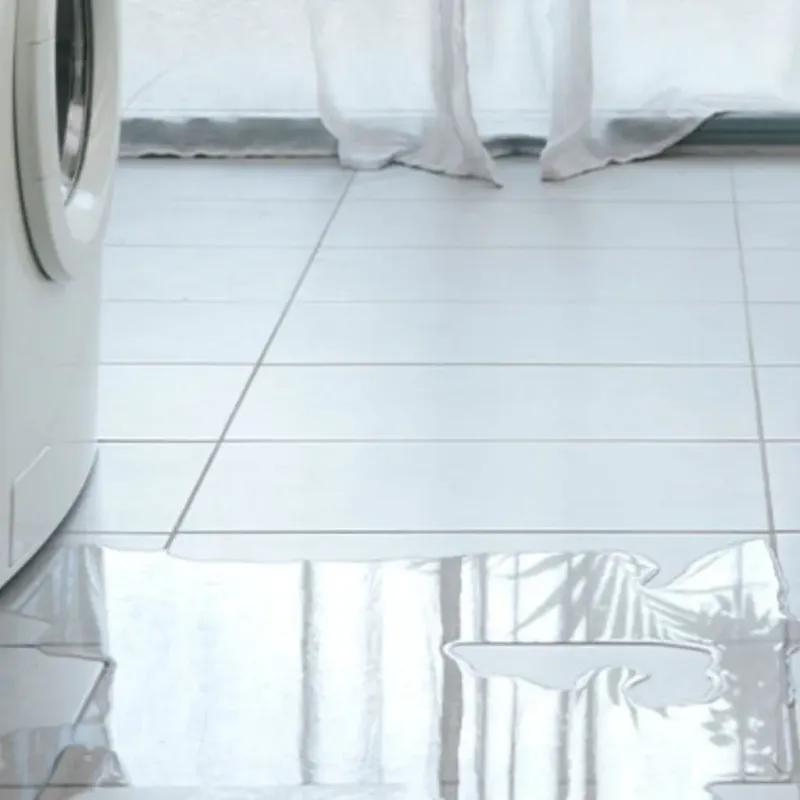 Appliance Leak Cleanup in Port Richey, FL